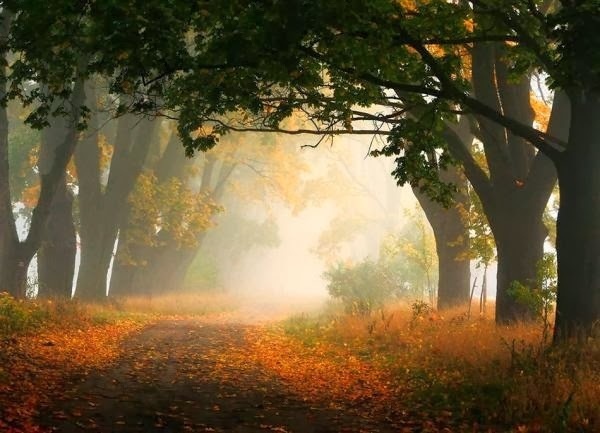 Landscape Photography by Przemysław Kruk #inspiration #photography #landscape