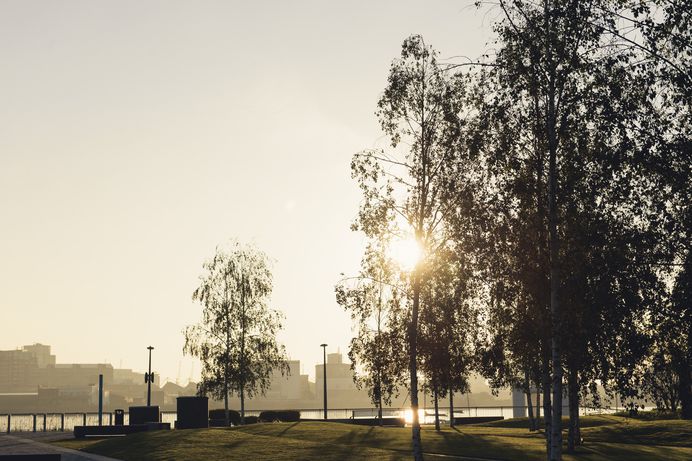 Paul Calver / Greenwich Peninsula