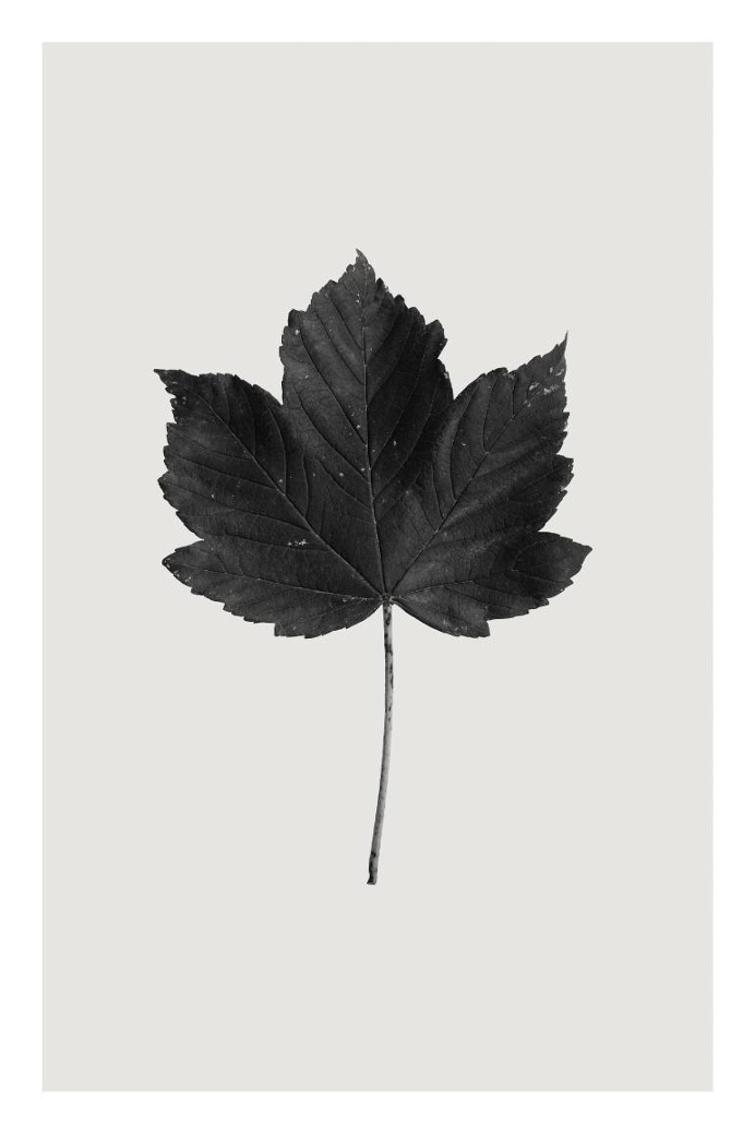 Saatchi Art Artist Anders Bundgaard; Photography, "Sycamore" #art