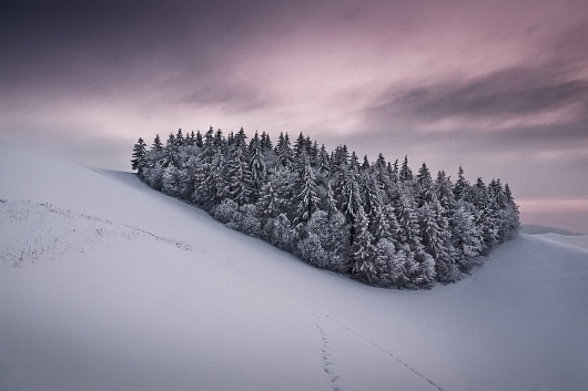 30908-fullsize.jpg (950×633) #snow #trees