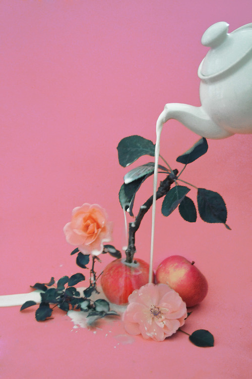 domsebastian: magic apple plant #milk #apple #pour #pink #flower #grow #photography #teapot #surreal #plant