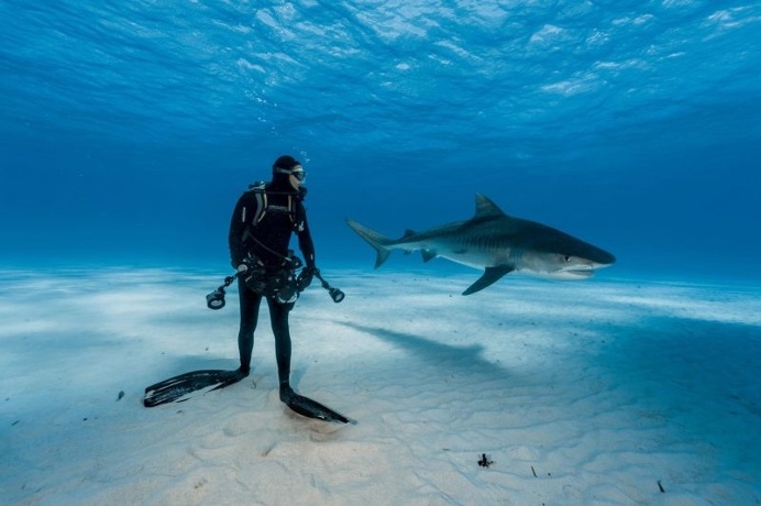 National Geographic Unveils Its 50 Most Beautiful Travel Photos Of 2016's