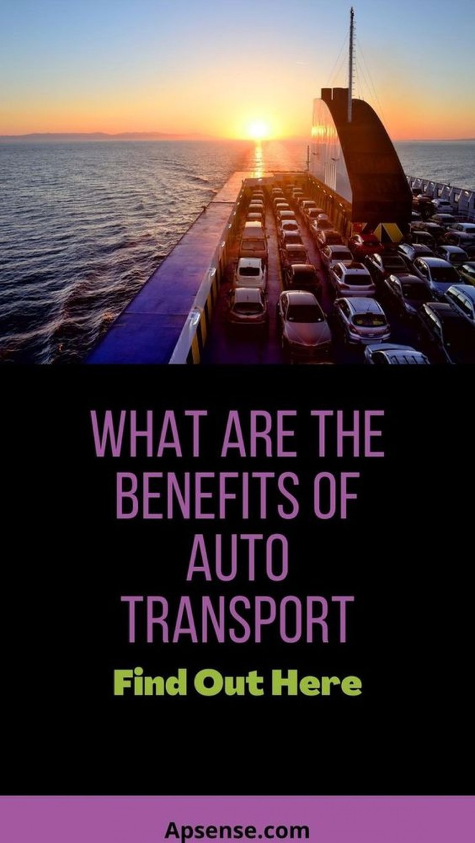 What Are The Advantages of Auto Transport Infographic