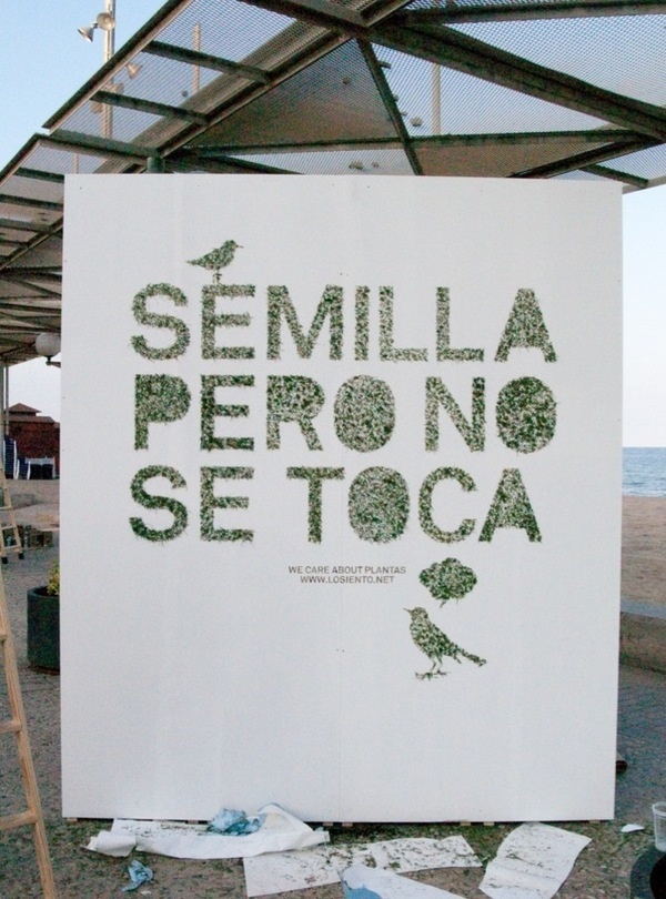 Semilla pero no se toca #id #print