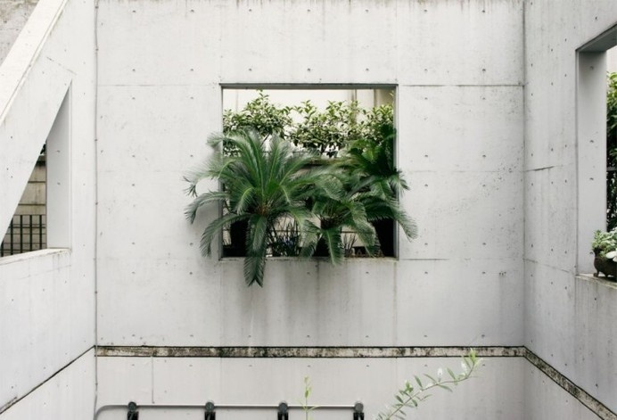STREET ETIQUETTE – concrete and vegitation
