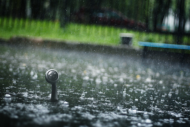 Проснись, #photography