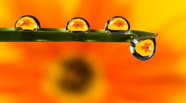 Photographer Kutub Uddin #inspiration #photography