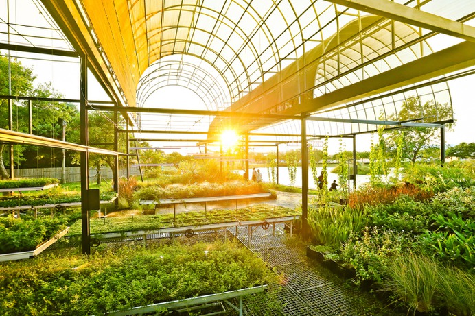 Greenhouse2 Grass Field / BIAS Architects,© Rockburger