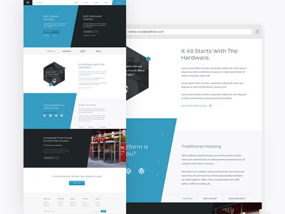 Crucial Hosting #web