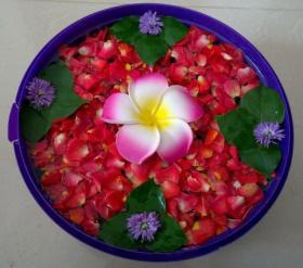 Lotus floating rangoli