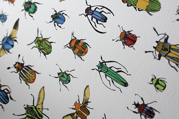 Beetles #illustration #bugs