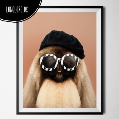 #dog #animals #funny #minimal #poster Poster realizado para lokoloko.es
