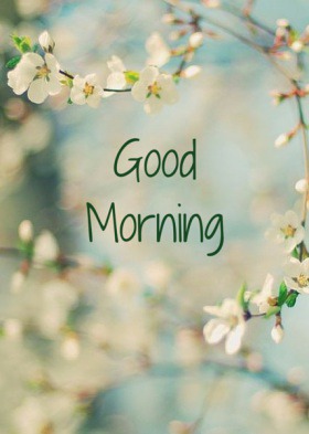 Start your day with a smile - Floral Cards - Good Morning