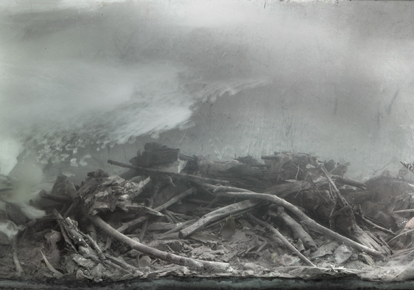 DOG | Kim Keever #photo #branches #fog
