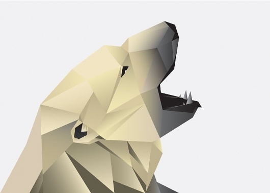 Great Bears | rorymuldoon.com #bear #illustration #cards