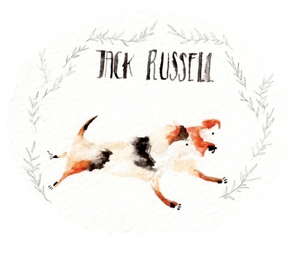 Animals - Lucy Eldridge Illustration #illustration