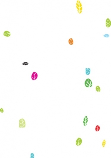 OOkie #ookie #tree #leaf