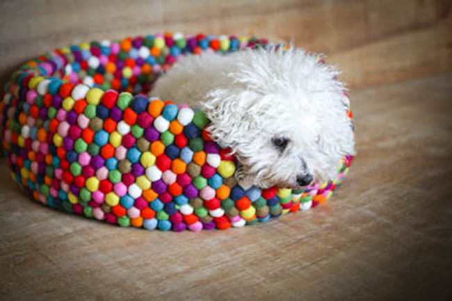 Freckle Felt Dog Bed #tech #flow #gadget #gift #ideas #cool