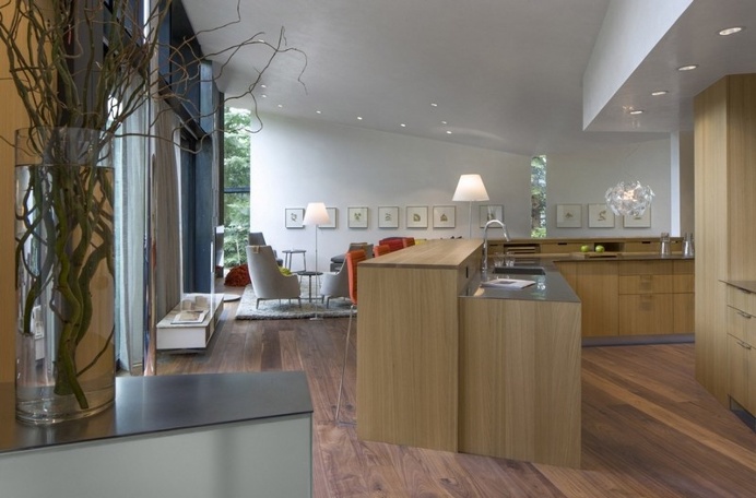 Blackbird House – Urban Mountain Retreat by Will Bruder Architects