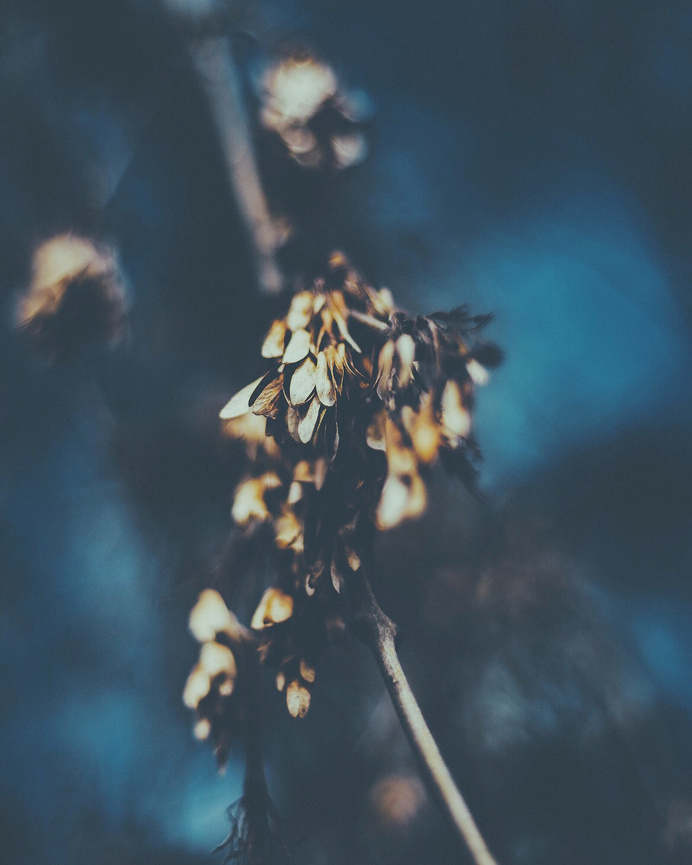 #fall #scandinavia #nordic