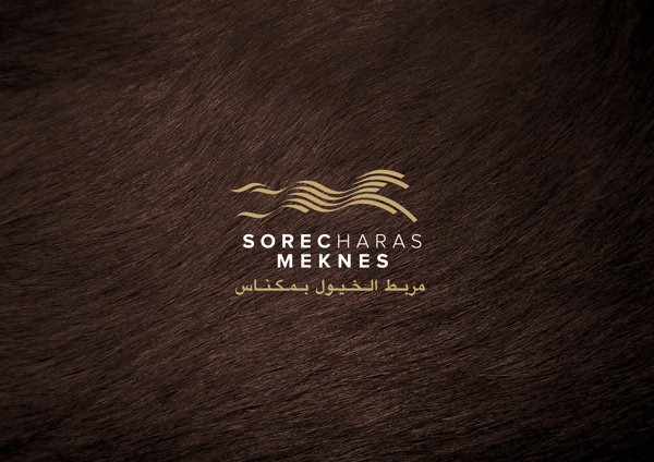 SOREC #logotype #horse #branding #brand #identity #logo