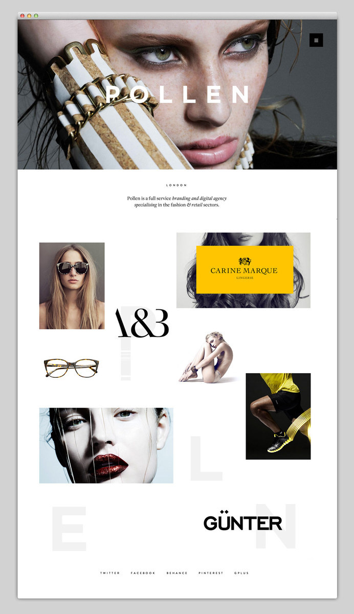 Homepages design idea #139: Pollen homepage #pollen #layer #layout #website