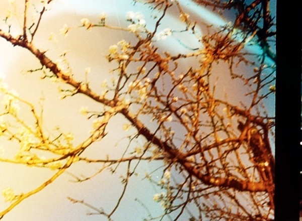 Luis Farfan | Denada.org #lightleaks