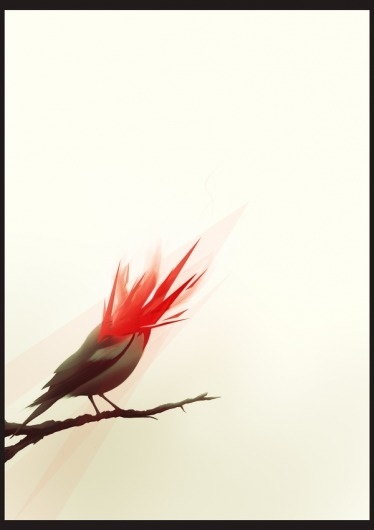 We Will Go on the Behance Network #illustration #bird