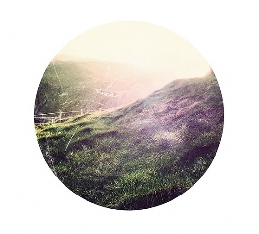 Irish Grass by MarcoSuarez on Etsy #photography #nature