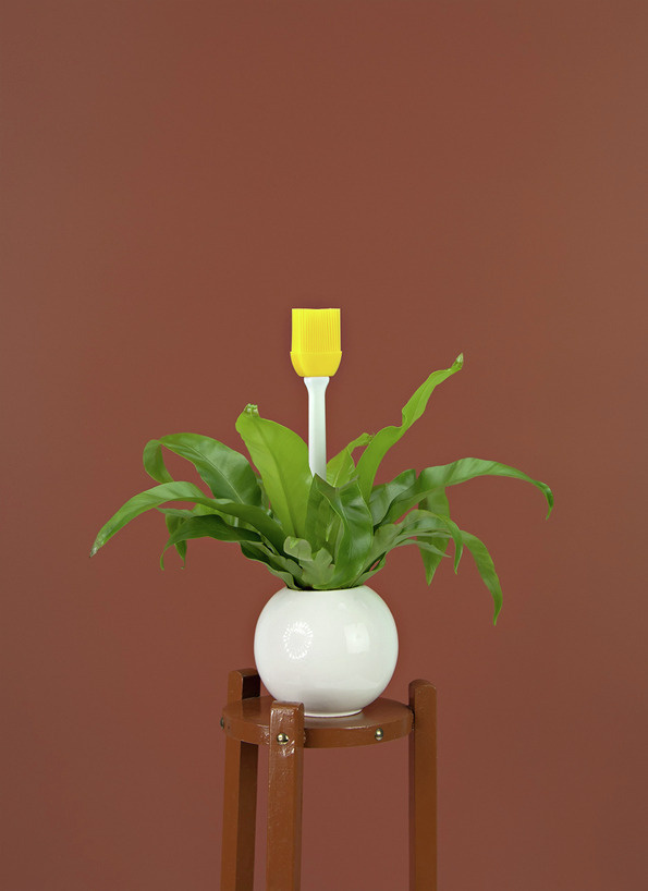 Inflorescence_02 #flower #photography #set
