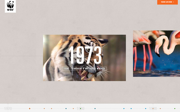 WWF 40 ans d'engagement #horizontal #mouseover #web #timeline