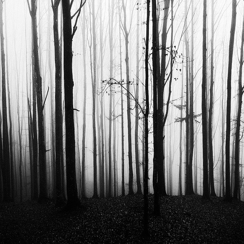 Inspirational Photography #001 | urbanistas