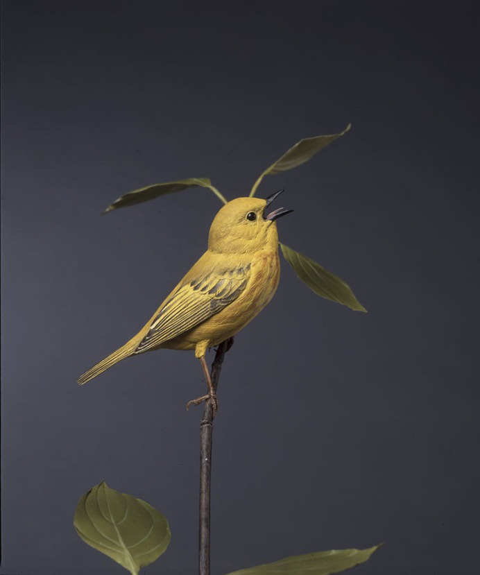 Chicagoland Wood Sculptor Bob Guge