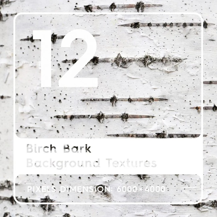 12 Birch Bark Texture Backgrounds #birch #birchbark #textures #wood