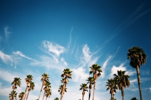 Evan Perigo on inspcollection #photography #art #nature
