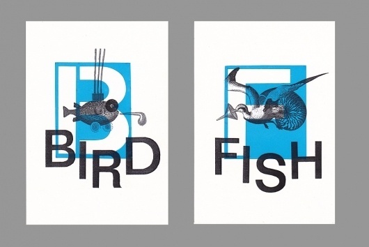 bird fish : Guilherme #negative #fish #bird #stencil #illustration #sea #helvetica #collage #typography