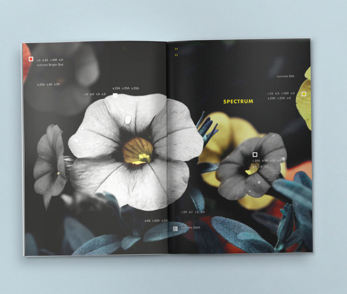The Mars Hotel Brand Book via Patrick Iadanza #spectrum #branding #guide