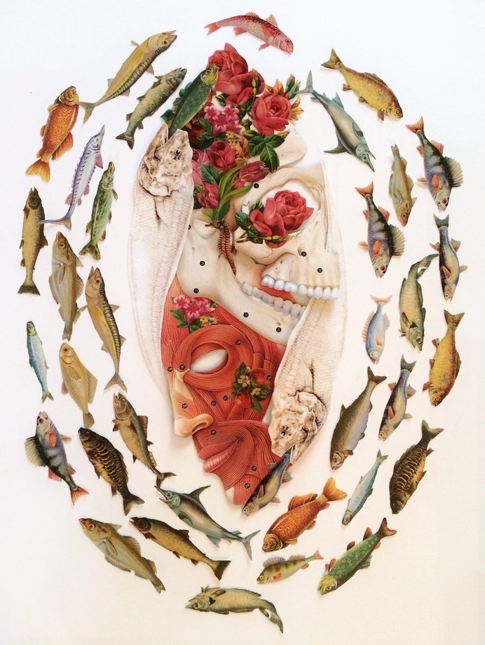 "pisces" cut paper anatomical collage art by bedelgeuse #fish #anatomy #bedelgeuse #art #collage