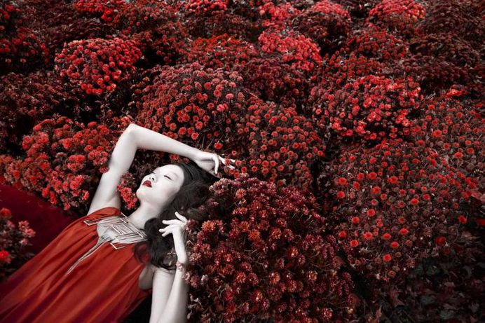 Fine Art Fashion and Beauty Portrait Photography by Lindsay Adler