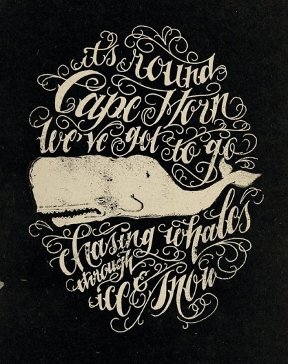 Jon Contino | Fubiz™ #whale #lettering