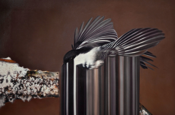 Maurizio Bongiovanni | PICDIT