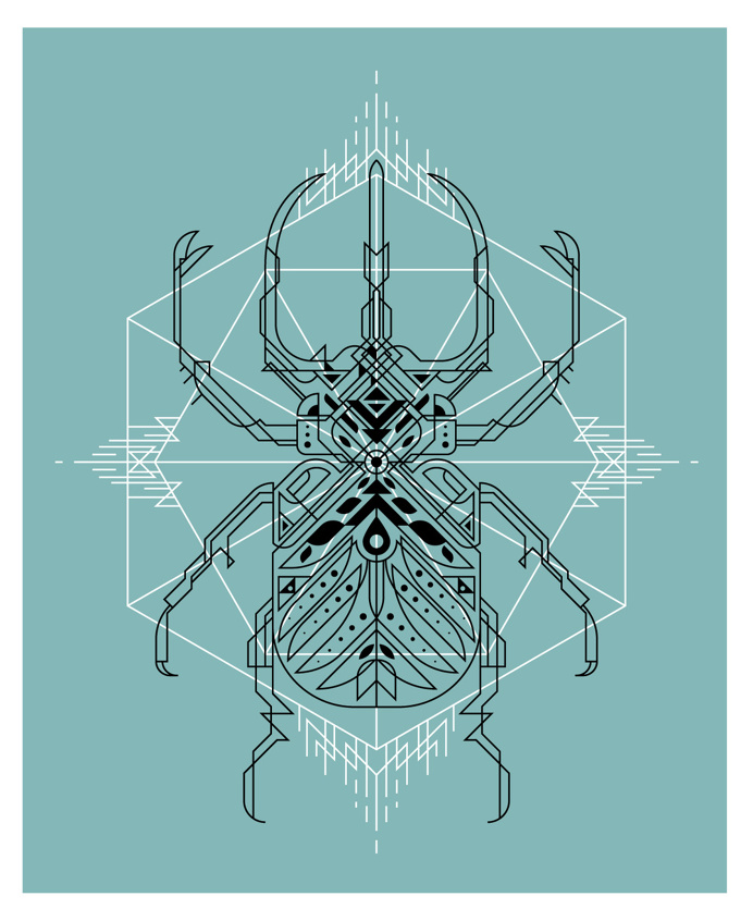 beetle_v1.jpg