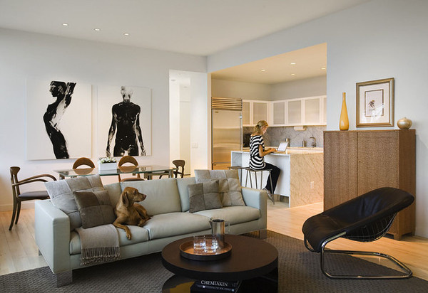 Living Room / Kitchen contemporary living room new york Robert Granoff