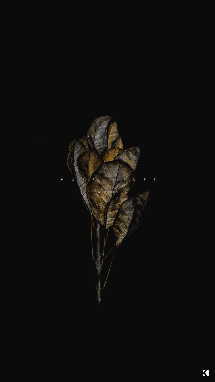 Wallpapers No. 419 – Hogwarts Houses + Dark Dead Botanicals