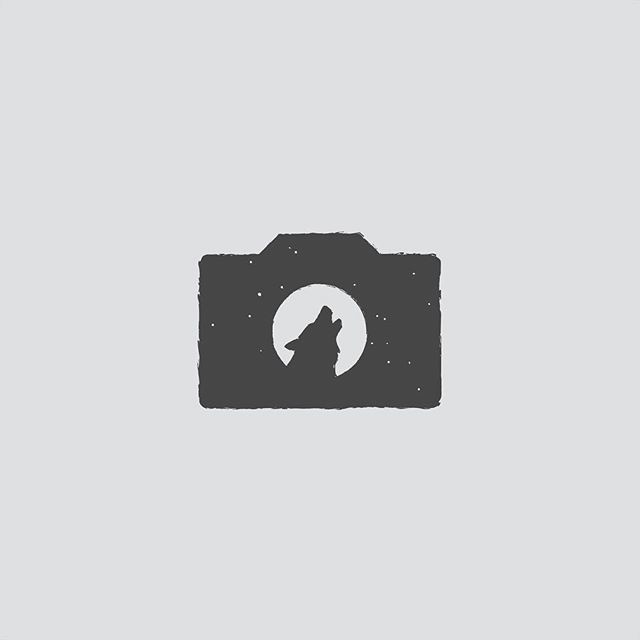 Wolf Photography