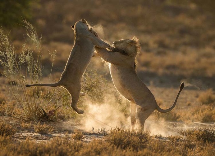 National Geographic Travel Photographer of the Year 2016