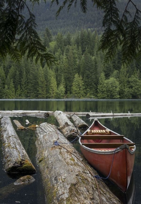Pinned by #water #tree #photo #reflect #mirror #photography #boat #forest