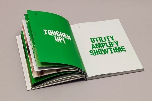 Accept & Proceed #serif #sans #bold #clean #spread #brochure #typography