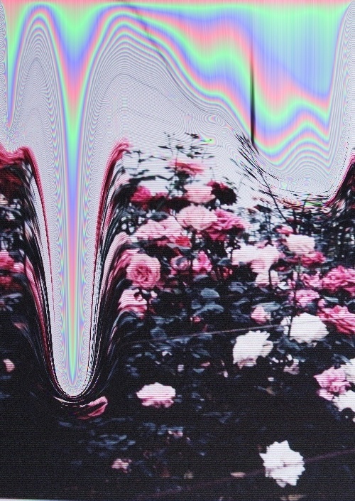 Have a Nice Day #tv #static #distortion #lcd