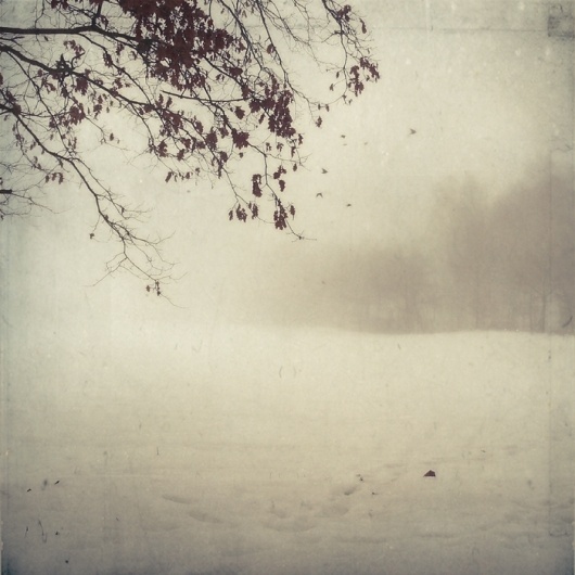 silent world, photography by Ramona G #fog